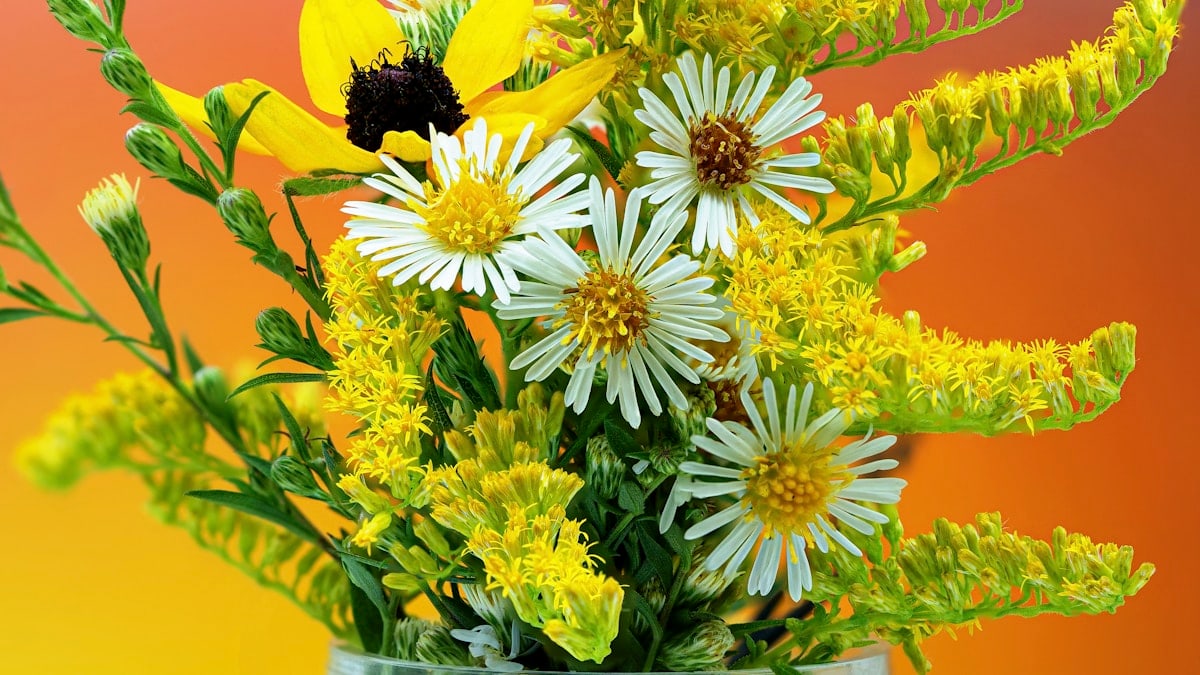 Bouquet
